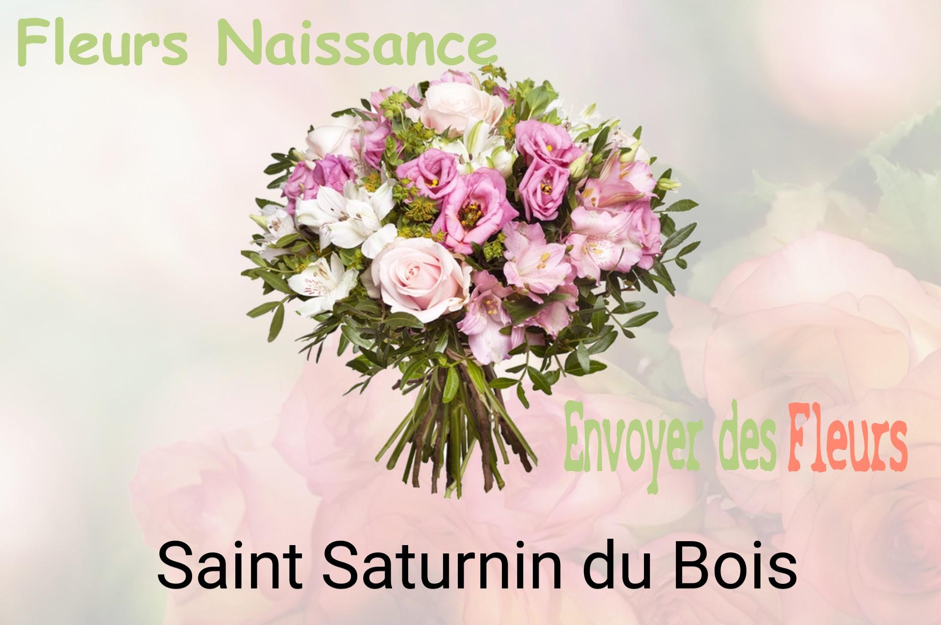Bouquet de fleurs de naissance livré à Saint-Saturnin-du-Bois